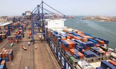 البنك الدولي: 50% معدل انخفاض زمن الإفراج الجمركي المصري بعد التطوير