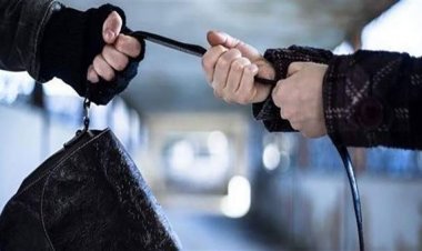 ضبط شخصين لقيامهما بسرقة حقيبة سيدة  وإصابتها بالقاهرة