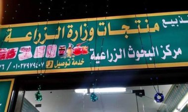 أرخص 25%.. الزراعة تطرح المنتجات الغذائية بأسعار مخفضة في الأسواق