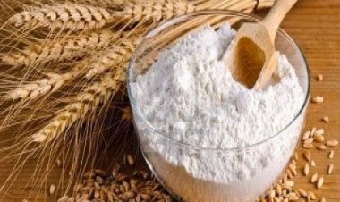 اليوم.. استقرار أسعار الدقيق الأبيض