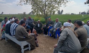 «الزراعة» تنظم 155 مدرسة حقلية للمحاصيل الشتوية في فبراير