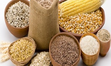 أسعار القمح والذرة والأرز تواصل ارتفاعها بسبب الحرب بين روسيا وأوكرانيا