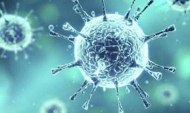 «الصحة» تعلن بيان كورونا ليوم السبت