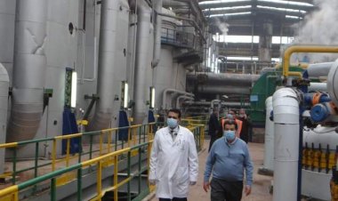 التموين: بدء استقبال البنجر من المزارعين لإنتاج السكر