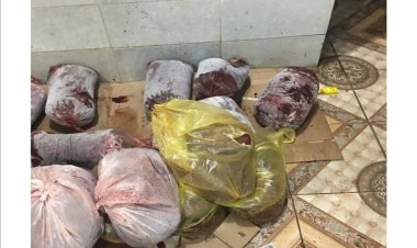 ضبط 2 طن لحوم مجهولة المصدر داخل مصنع بدون ترخيص في القاهرة