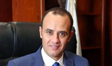 مفاجأة.. رئيس شعبة الدواجن لـ«العاصمة»: البيض الأورجانيك يُصدر إلى السعودية والإمارات والكويت