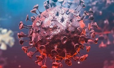 «الصحة» تعلن بيان كورونا ليوم الثلاثاء