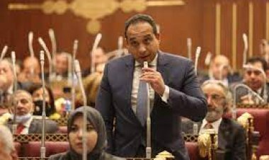 عضو بـ«الشيوخ» لـ«العاصمة»: العلاقات السعودية المصرية ركيزة أمان للمنظومة العربية