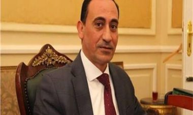 عضو بـ«النواب»: مصر رسخت نموذجاً متفردًا في ملف احترام وترسيخ حقوق الإنسان
