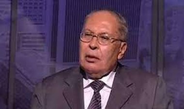 الأمين السابق لمنظمة الوحدة الإفريقية لـ«العاصمة»: مصر شريك رئيسي في مقاومة الإرهاب بالقارة