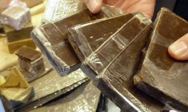 ضبط 184 طربة حشيش بحوزة 2 من العناصر الإجرامية بمحافظتى الإسكندرية ومطروح