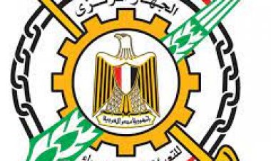 المركزي للإحصاء: 54% من الفتيات تعرضن لعنف نفسي قبل الزواج