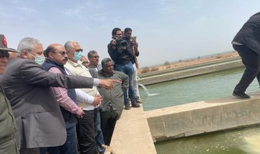 وزير الزراعة ومحافظ أسوان يتفقدان مفرخ جرف حسين السمكي