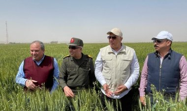 وزير الزراعة من أسوان: محصول القمح يبشر بالخير