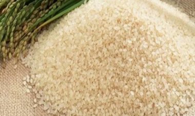 الزراعة: سينخفض سعر الأرز  بهذا التوقيت