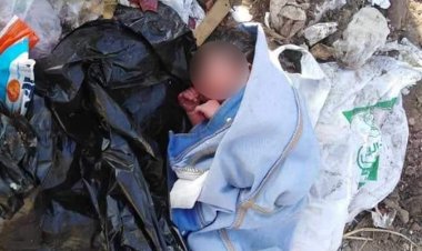 "أكتشفها كلب"...جهود مكثفة لحل لغز العثور على جثة طفلة حديثة الولادة ملقاة أمام مطعم بكرداسة