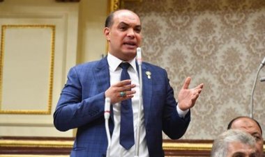 «برلماني»: مصر تخطت الموجة الخامسة لـ«كورونا» بحكمة سياسية ورؤية وطنية