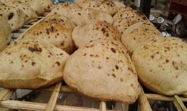 وزارة التموين: الأسعار ستشهد انخفاضًا ملحوظًا قبل رمضان