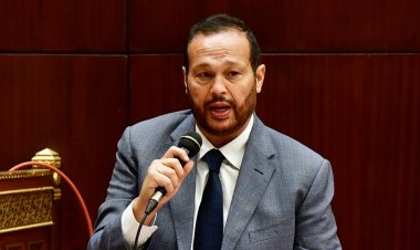 النائب محمد حلاوة: مصر والقيادة السياسية تحركت لتنويع مصادر استيراد القمح من 13 دولة