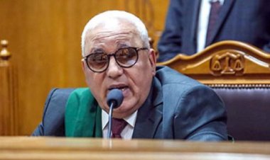  تأجيل محاكمة متهمين بالانضمام لجماعة إرهابية في القاهرة