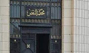 تأجيل طعن شقيق وزير المالية الأسبق على حكم حبسه فى قضية تهريب الآثار لجلسة 21 يوليو