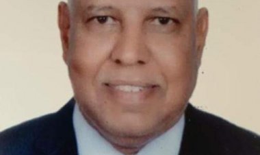 دورات تدريبية حول أساسيات زراعة أنسجة نخيل البلح.. اعرف التفاصيل