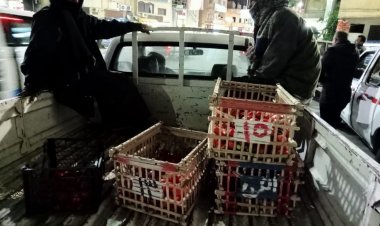 حملة لإزالة إشغالات أصحاب المحال التجارية والباعة المتجولين في الأقصر