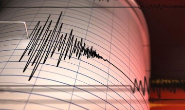 بعد رصد زلزال بقوّة 7,3 درجات..  سفارة مصر في طوكيو تناشد المصريين توخي الحذر