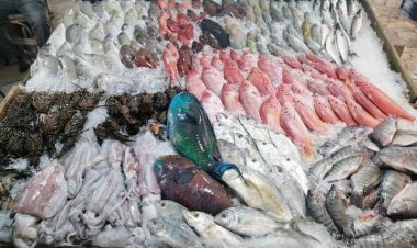 أسعار الأسماك في سوق العبور اليوم السبت 19- 3- 2022