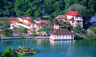 النزاع الروسي-الأوكراني يهدّد بانهيار اقتصاد سريلانكا