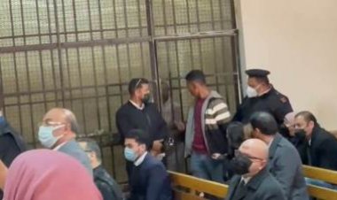 الشاهدة الرابعة بقضية محمد الأمين: إحدى المجني عليهن اعتدى عليها شقيقها