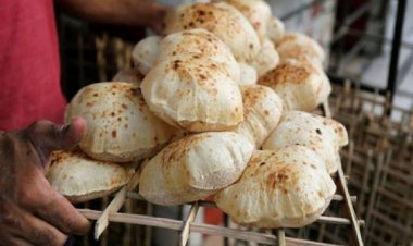 رسميا.. الحكومة تحدد السعر الجديد للخبز الحر والفينو