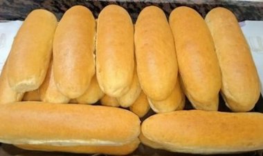 حملات رقابية تموينية في الإسكندرية.. لمتابعة تسعير الرغيف الحر والفينو