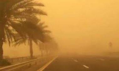 تعرف على حالة الطقس خلال الأيام المقبلة.. بعد موجة التقلبات الجوية