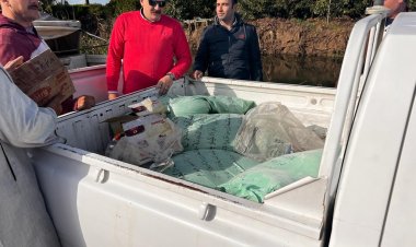 غلق مخابز لبيعهم دقيق بلدي مدعم في السوق السوداء بالبحيرة