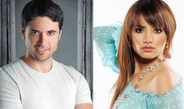 تأجيل دعوى زينة ضد أحمد عز لـ 24 مايو المقبل