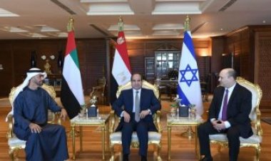 الرئيس السيسي يستقبل ولي عهد أبو ظبي لبحث تطورات ملف الطاقة عالميًا