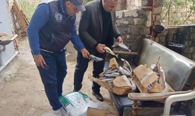 ضبط 6 طن أسماك غير صالحة للاستهلاك الآدمي بالبحيرة