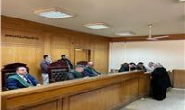 وكيلة التضامن في محاكمة الأمين: «البنات جبتهم من تحت الكوبري دلوقتي بيقولوا بابي ومامي»