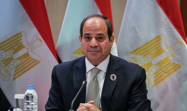 الرئيس السيسي يتابع جهود الدولة للتوسع في إنتاج الأسمدة