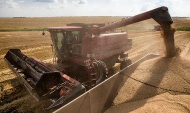 السفارة الأوكرانية بالقاهرة تؤكد الالتزام بعقود توريد القمح مع مصر 