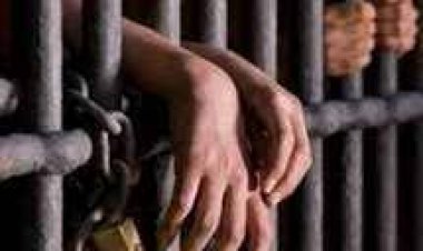 السجن المؤبد لمتهم في قضية «خلية مفرقعات المطرية»