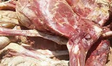 القبض على صاحب مفرمة بحوزته طن لحوم فاسدة بالقاهرة