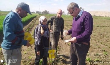 الزراعة تنظم حملات لتفقد قواعد الجراد بالجمهورية