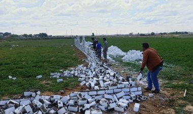 الإسكندرية: تنفيذ 237 قرارا لإزالة المباني والتعديات على الأراضي الزراعية