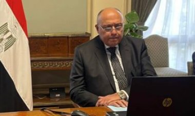 وزير الخارجية يبحث مع نظيره اليابانى العلاقات الثنائية عبر الفيديو كونفرانس