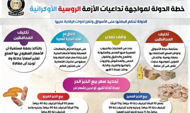 خطة مصر لمواجهة الكوارث الاقتصادية من تداعيات الحرب الروسية الأوكرانية