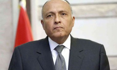 وزير الخارجية سامح شكري يتجهه إلى موسكو