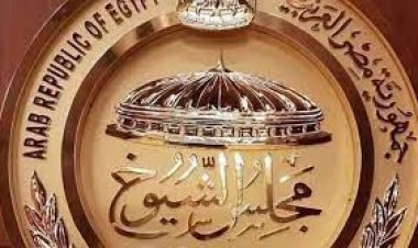 أعضاء «الزراعة» بمجلس الشيوخ يطالبون بسوق حر للأسمدة لحل الأزمة