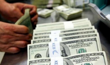 استقرار كبير في أسعار الدولار في ختام تعاملات اليوم